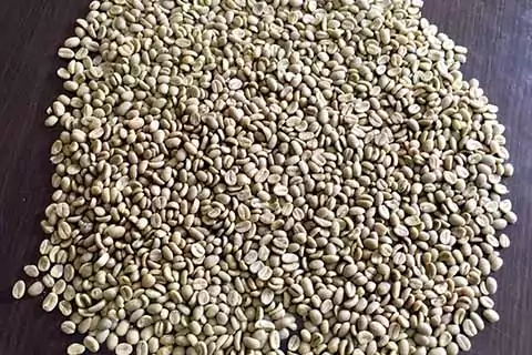 tipo de cafe excelsa granos cafe excelsa