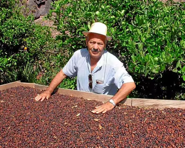 cafe de espana hombre toca cafe