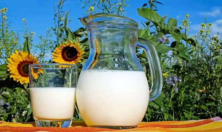 jarra y vaso de leche
